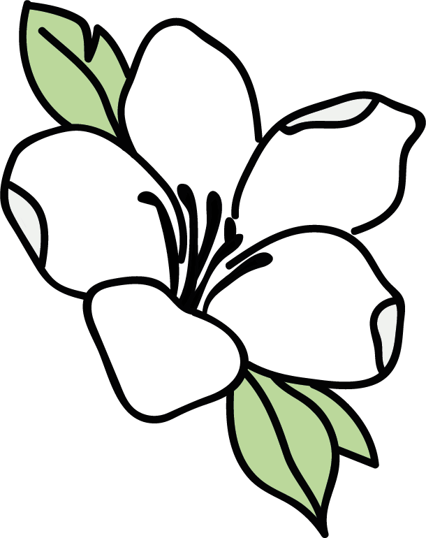 Logo Blume